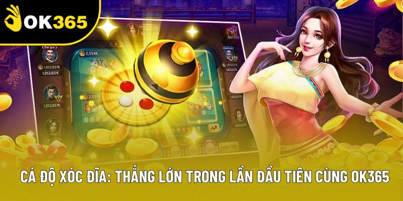 Cá Độ Xóc Đĩa: Thắng Lớn Trong Lần Đầu Tiên Cùng OK365