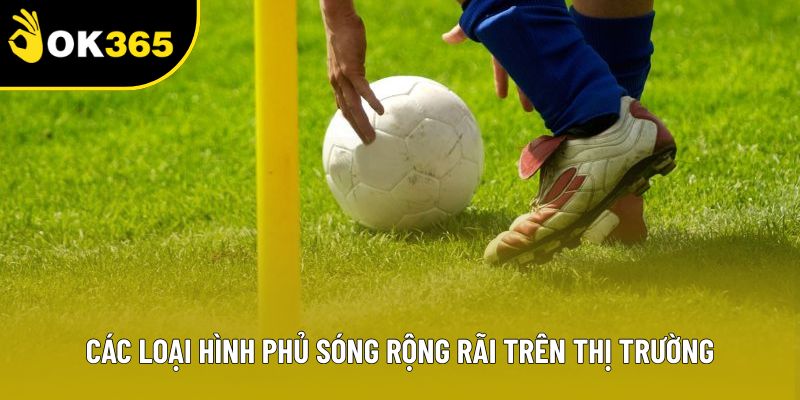 Các loại hình phủ sóng rộng rãi trên thị trường