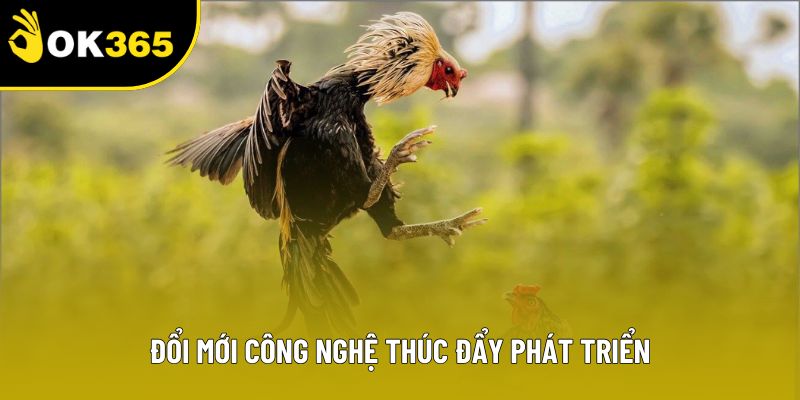 Đổi mới công nghệ thúc đẩy phát triển