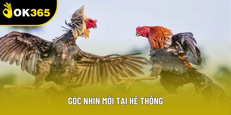 Góc nhìn mới tại hệ thống