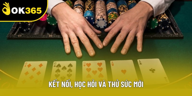 Kết nối, học hỏi và thử sức mới