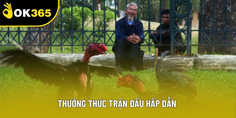 Thưởng thức trận đấu hấp dẫn