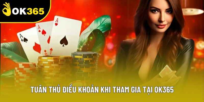 Tuân thủ điều khoản khi tham gia tại OK365